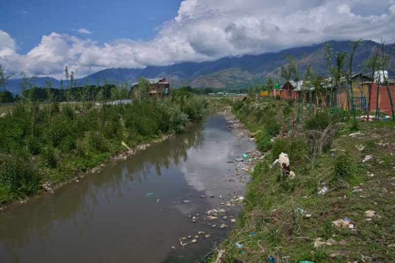 A stray cow grazes beside a canal filled with trash near Wular Lake in Bandipora, northeast of Srinagar, Indian controlled Kashmir, Tuesday, May 5, 2026. (AP Photo/Dar Yasin)
