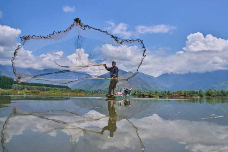 Abdul Rasheed, a fisher, casts his net into the waters of Wular Lake in Bandipora, northeast of Srinagar, Indian controlled Kashmir, Tuesday, May 5, 2026. (AP Photo/Dar Yasin)