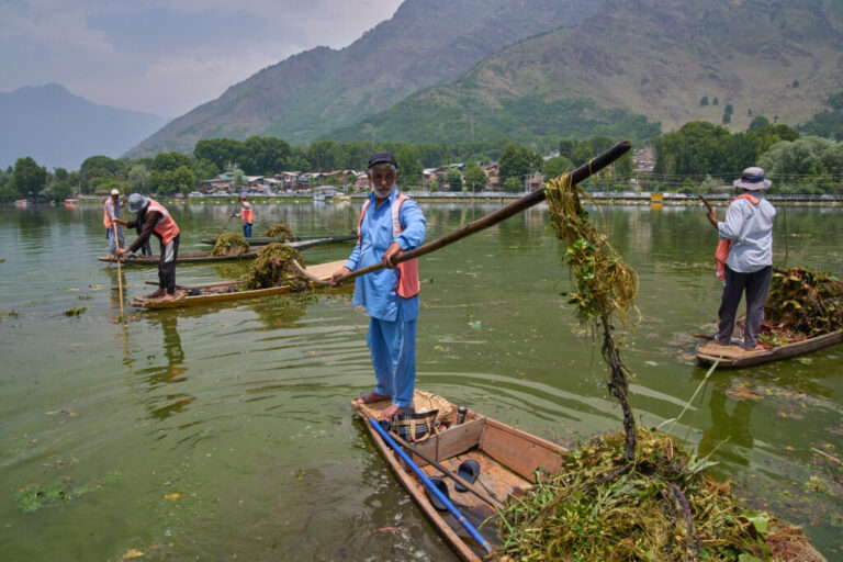 Ghulam Rasool, second from right, a weed cleaner employed by Lake Conservation and Management Authority (LCMA), works at Dal Lake in Srinagar, Indian controlled Kashmir, Wednesday, May 20, 2026. (AP Photo/Dar Yasin)