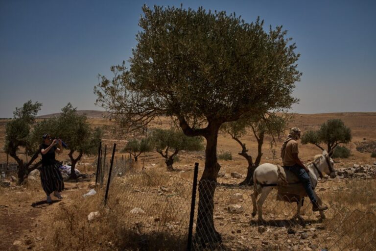 An Israeli activist records the presence of a settler as he moves with his donkey in front of a Palestinian house on the outskirts of the West Bank town of Taybeh, Thursday, June 25, 2026. (AP Photo/Leo Correa)